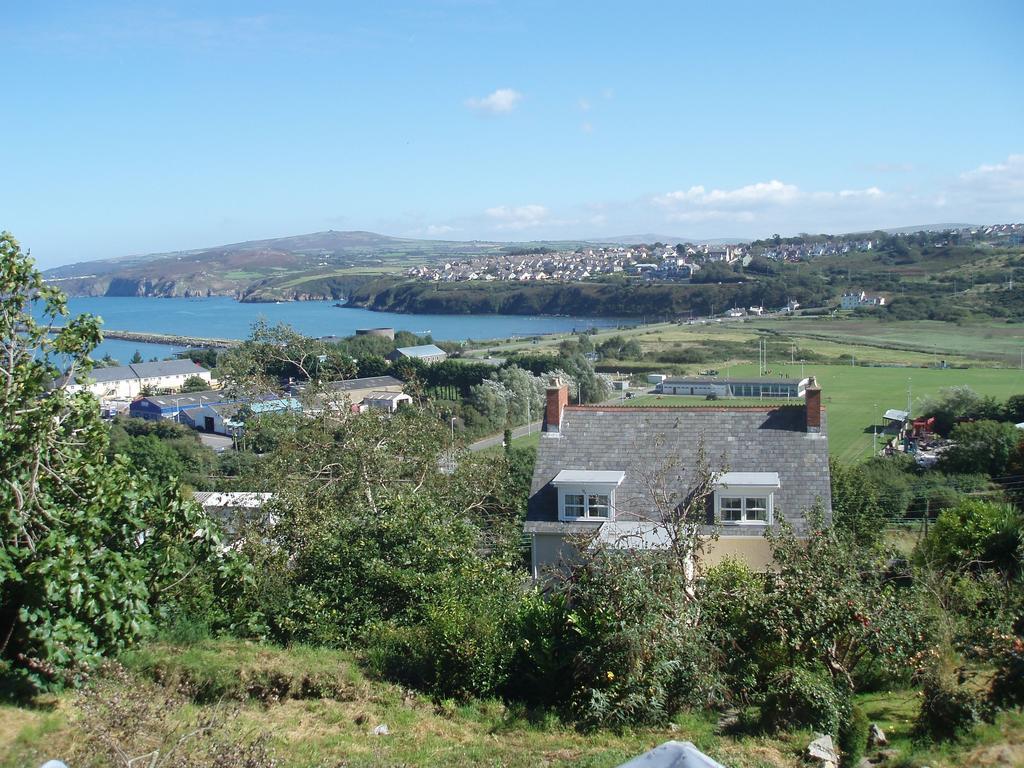 Fern Villa B&B Fishguard Habitación foto